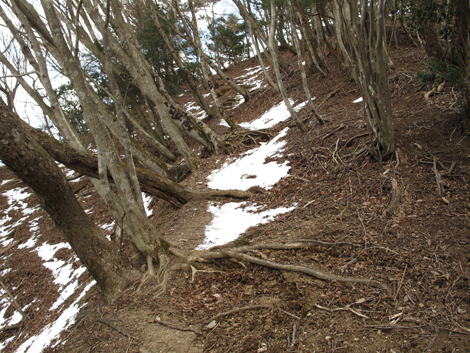 20170113hike (117)